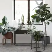 TACA DO DONICZEK PLANT BOX CZARNA FERM LIVING