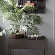 TACA DO DONICZEK PLANT BOX CZARNA FERM LIVING