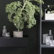 TACA DO DONICZEK PLANT BOX CZARNA FERM LIVING