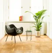Fotel Rm58 Classic zielony Vzor