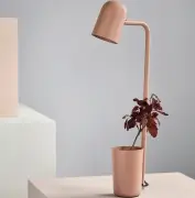 Lampa stołowa Buddy ciemnoszara Northern