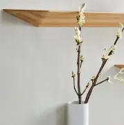 Półka ścienna Falka 160x14 cm dąb bielony Bolia