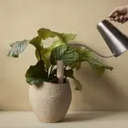 Donica Plantas 26 Cm Audo Copenhagen