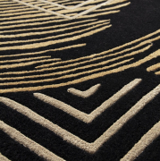 Dywan Golden Wind 200x300 cm Carpet Decor