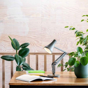 LAMPA PRZENOŚNA TYPE 90 MINI MINI KELP GREEN ANGLEPOISE
