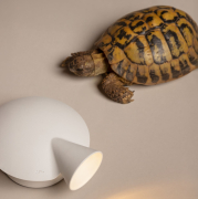 Lampa ścienna Tortuga biała Martinelli Luce