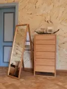 LUSTRO STOJĄCE NEWEST WOODMAN
