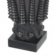 WAZON CORAL EICHHOLTZ