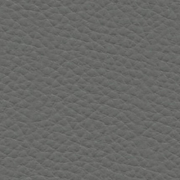 Leather L20 Dim Gray 21