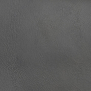 Grey 1258