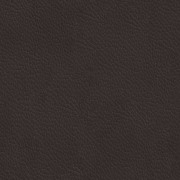 Golf Dark Brown