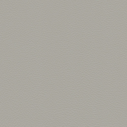 Leather L20 Cement 64